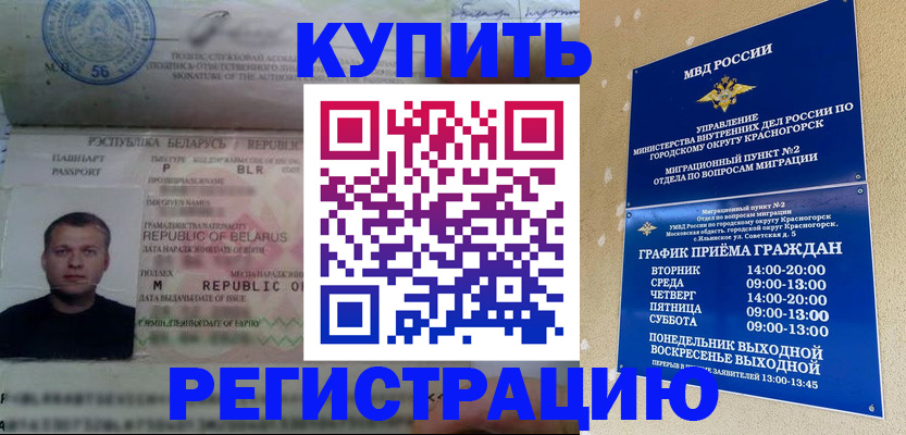 прописка законно в Мурманске